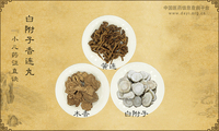 白附子香连丸《小儿药证直诀》