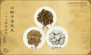白附子香连丸《小儿药证直诀》