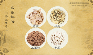 瓜蒌仁汤
