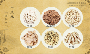 半瓜丸