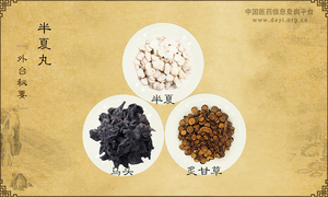 半夏丸《外台秘要》