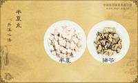 半夏丸《丹溪心法》