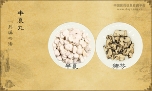 半夏丸《丹溪心法》