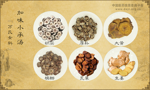 加味小承汤
