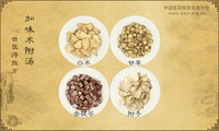 加味术附汤