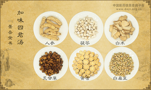 加味四君汤《景岳全书》