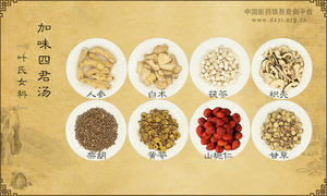 加味四君汤《叶氏女科》