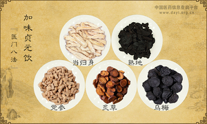 加味贞元饮