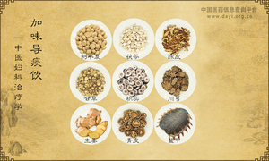 加味导痰饮