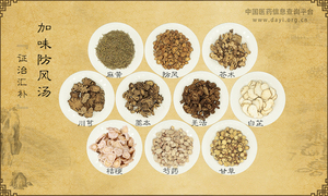 加味防风汤