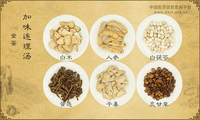 加味连理汤《金鉴》