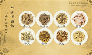 加味泻白散《外科证治全书》