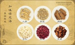加味保元汤《医学集成》