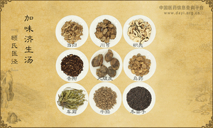 加味济生汤