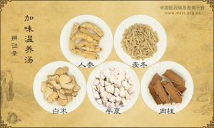 加味温养汤