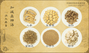 加减圣神汤