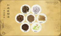 加减发郁汤