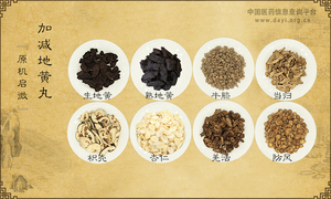 加减地黄丸《原机启微》