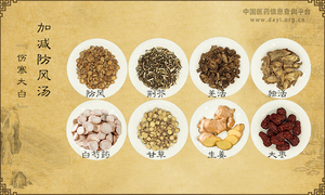 加减防风汤