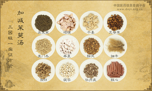 加减茱萸汤