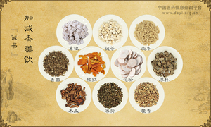加减香薷饮
