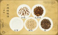 加减桂枝汤