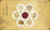 加减真武汤