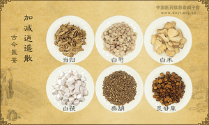 加减逍遥散《古今医鉴》