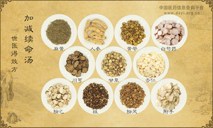 加减续命汤《世医得效方》