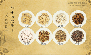 加味四君子汤《济阴纲目》