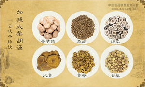 加减大柴胡汤