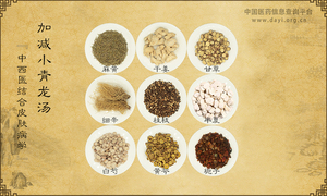 加减小青龙汤