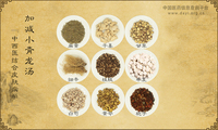 加减小青龙汤
