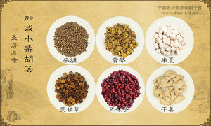加减小柴胡汤《圣济总录》