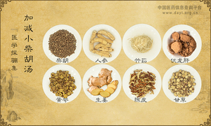 加减小柴胡汤