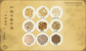 加减六君子汤