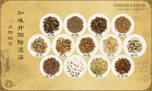 加味升阳除湿汤