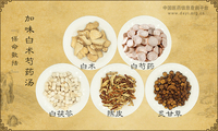 加味白术芍药汤