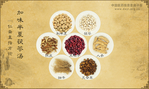 加味半夏茯苓汤