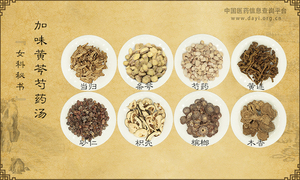 加味黄芩芍药汤