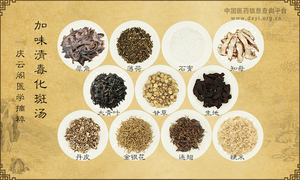 加味清毒化斑汤《庆云阁医学摘粹》