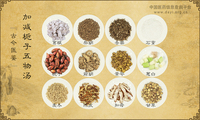 加减栀子五物汤