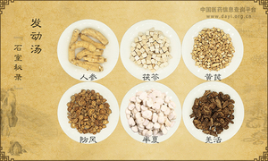 发动汤