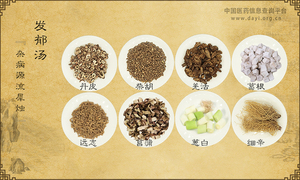 发郁汤