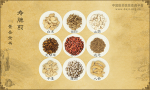 寿脾煎《景岳全书》