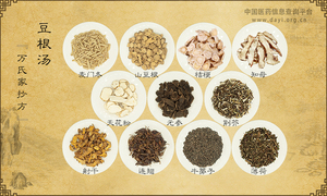 豆根汤《万氏家抄方》