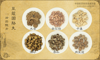 豆蔻固肠丸
