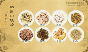 芩连枳梗汤《医学入门》