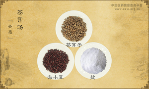 苍耳汤