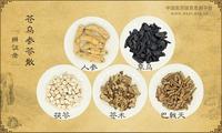 苍乌参苓散